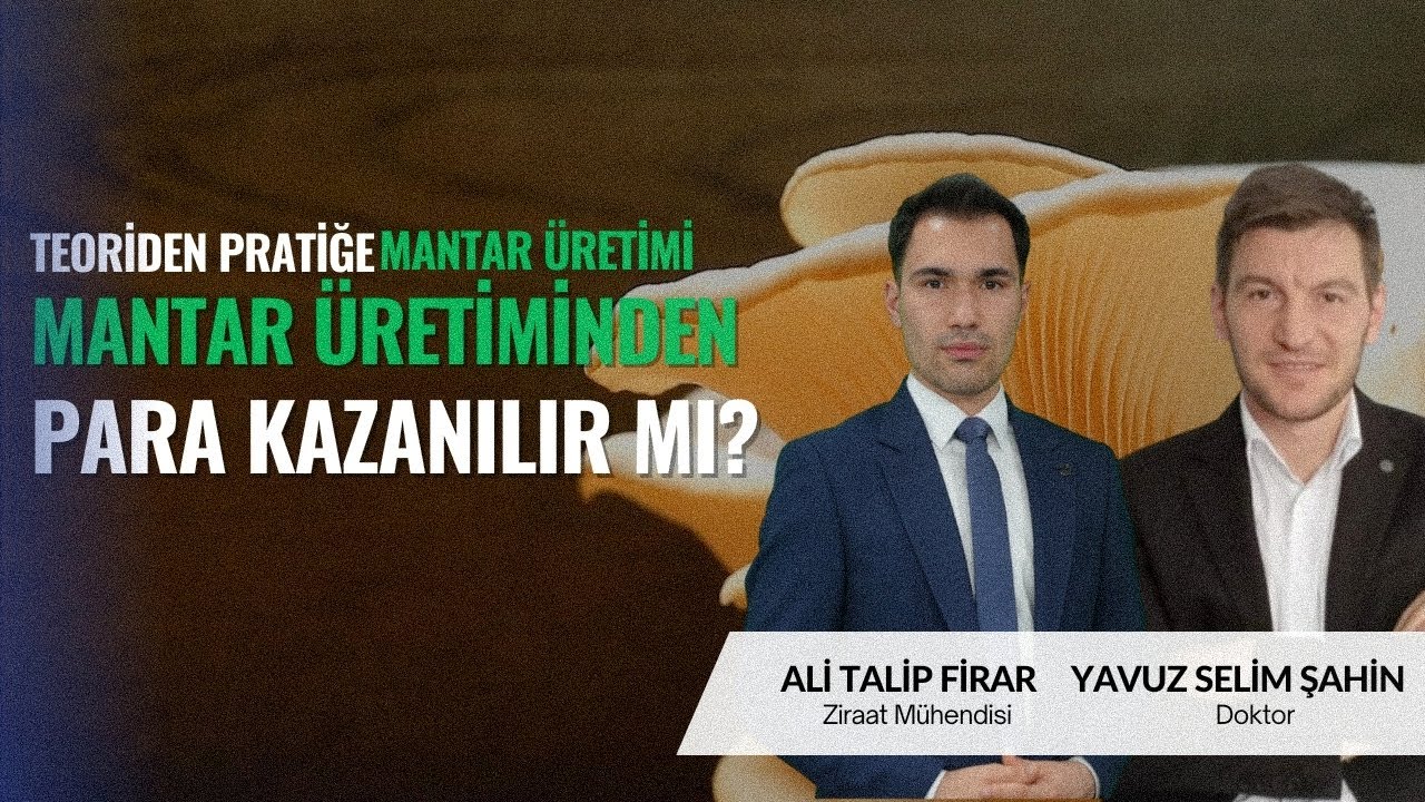 KÜLTÜR MANTARI ÜRETİMİ | TEORİDEN PRATİĞE MANTAR ÜRETİMİ