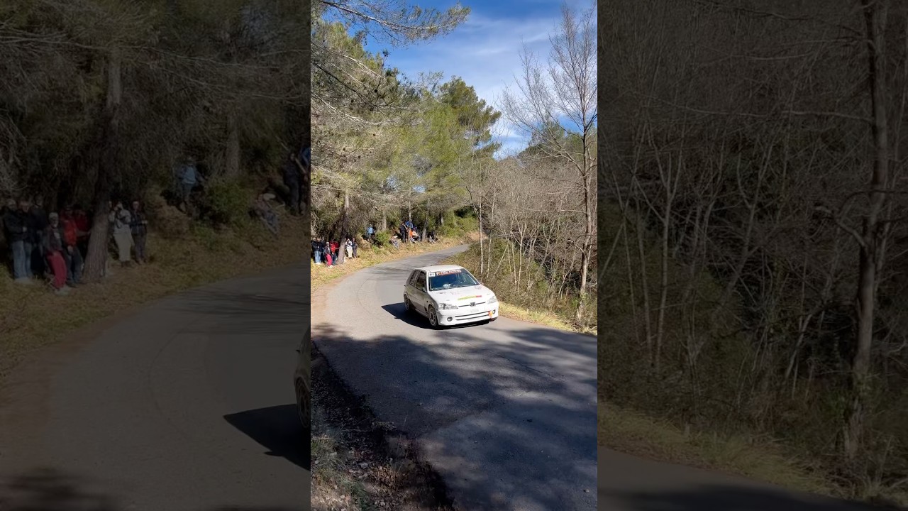 Peugeot 106 Rallye 🇫🇷#peugeot #106rallye #motorsport #passion #rally #car #rallyrondevalmerula