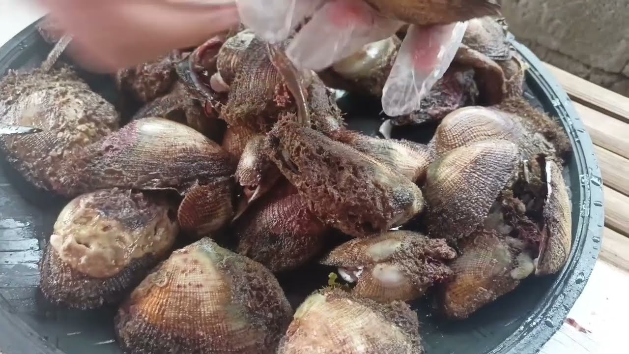 Sea Shells ang ulam namin kuha ni Mister Ambet