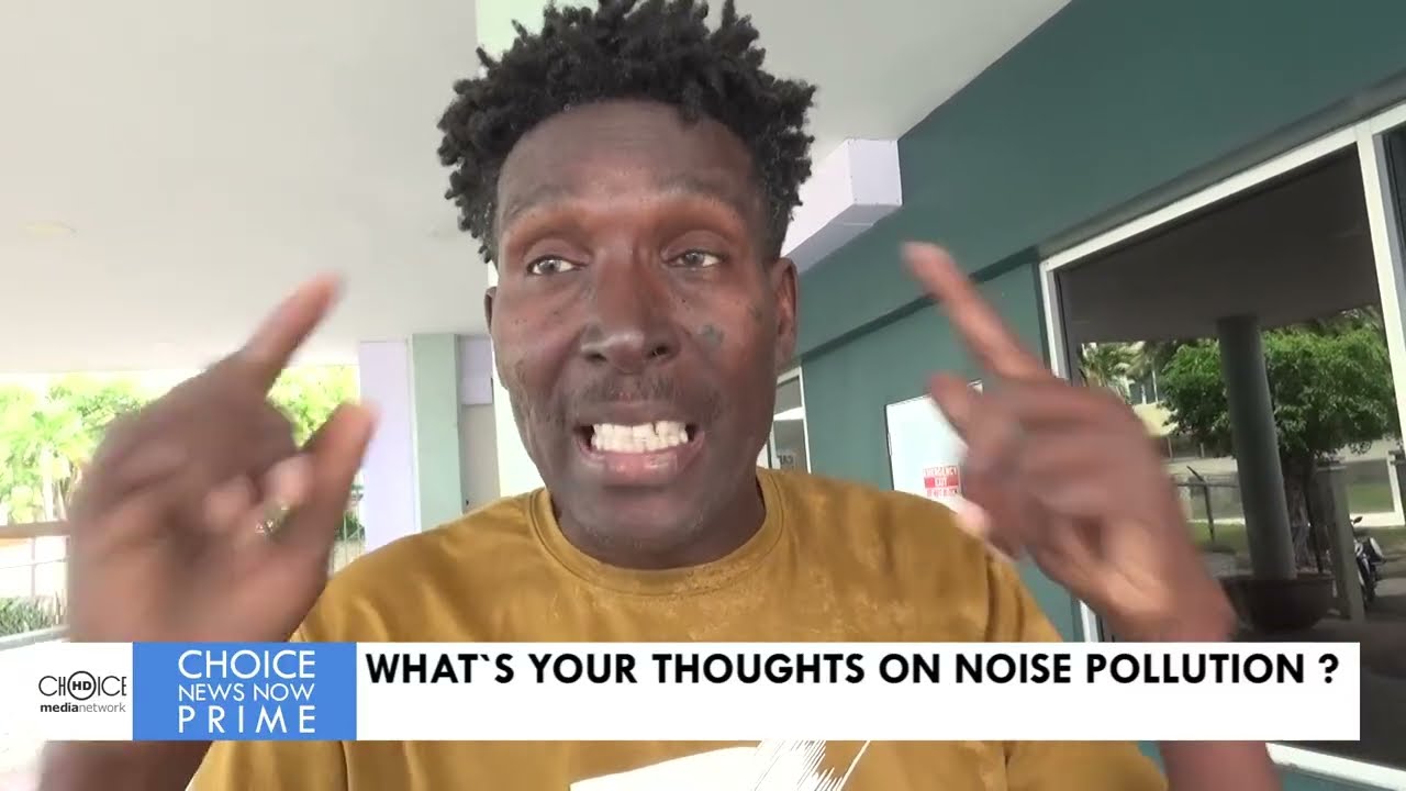 WHAT ARE YOUR THOUGHTS ON NOISE POLLUTION