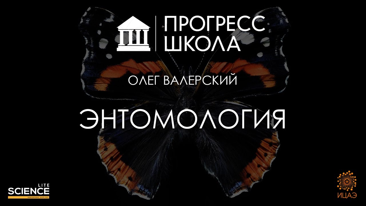 Олег Валерский — Энтомология