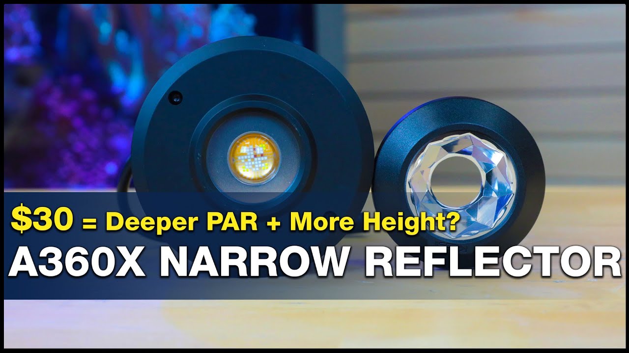 Can you change your reef light's 