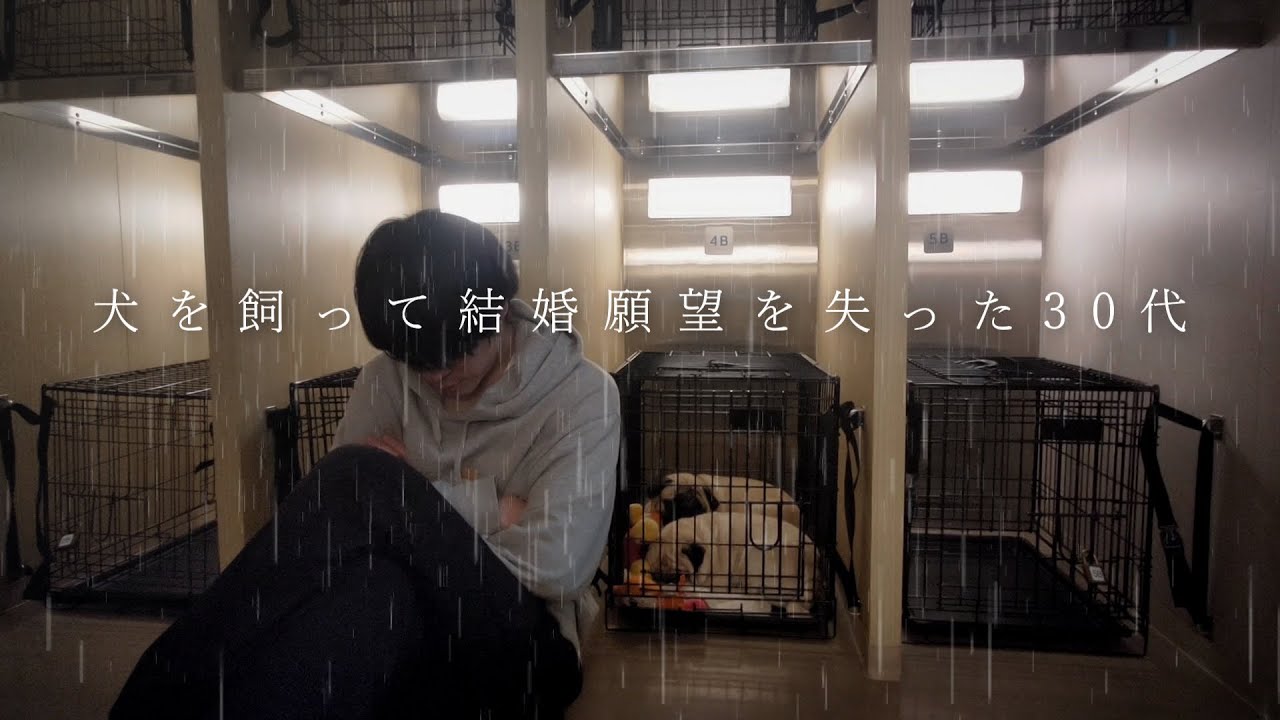 【車中泊生活】結婚資金300万円で購入した車で犬と航海→いきなり雨の車中泊