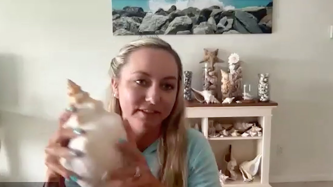 Shelling in the mangrove forest with Sarah Rosenbaum Q and A