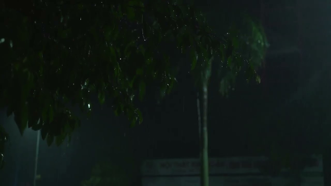 Rainstorm Sounds for Relaxing, Focus or Deep Sleep | Nature White Noise | 8 Hour Video