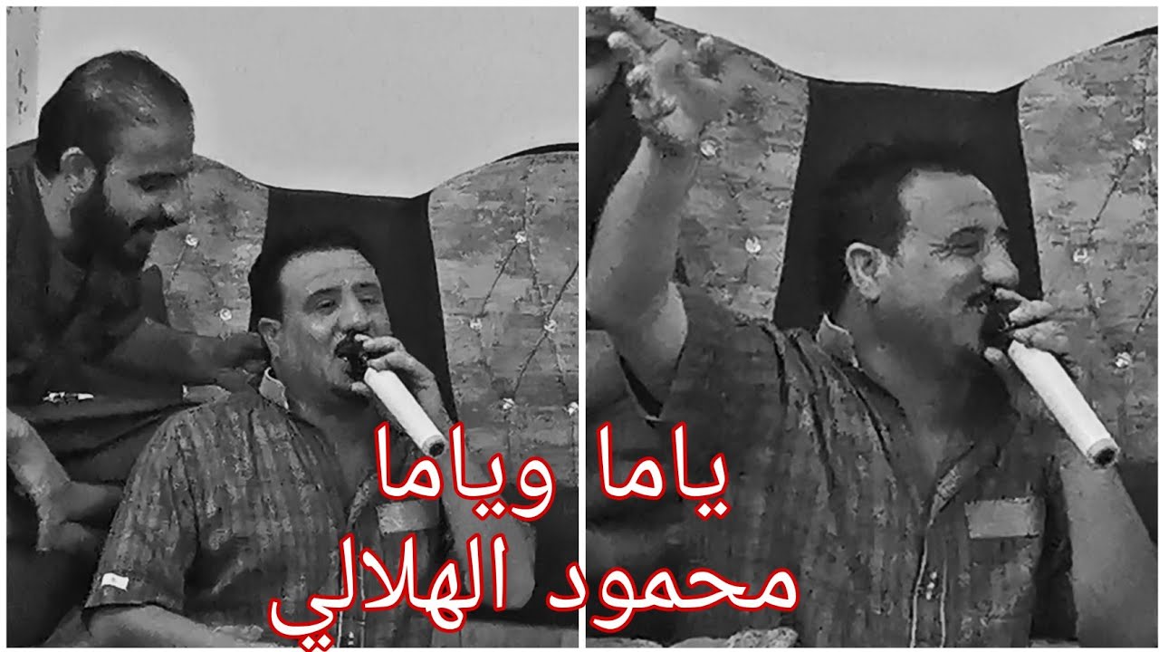 لابس هبري ومحمر الشفايف+ياما وياما/ محمود الهلالي / عزف نورس/ حصري قناة المصور صالح الجبوري