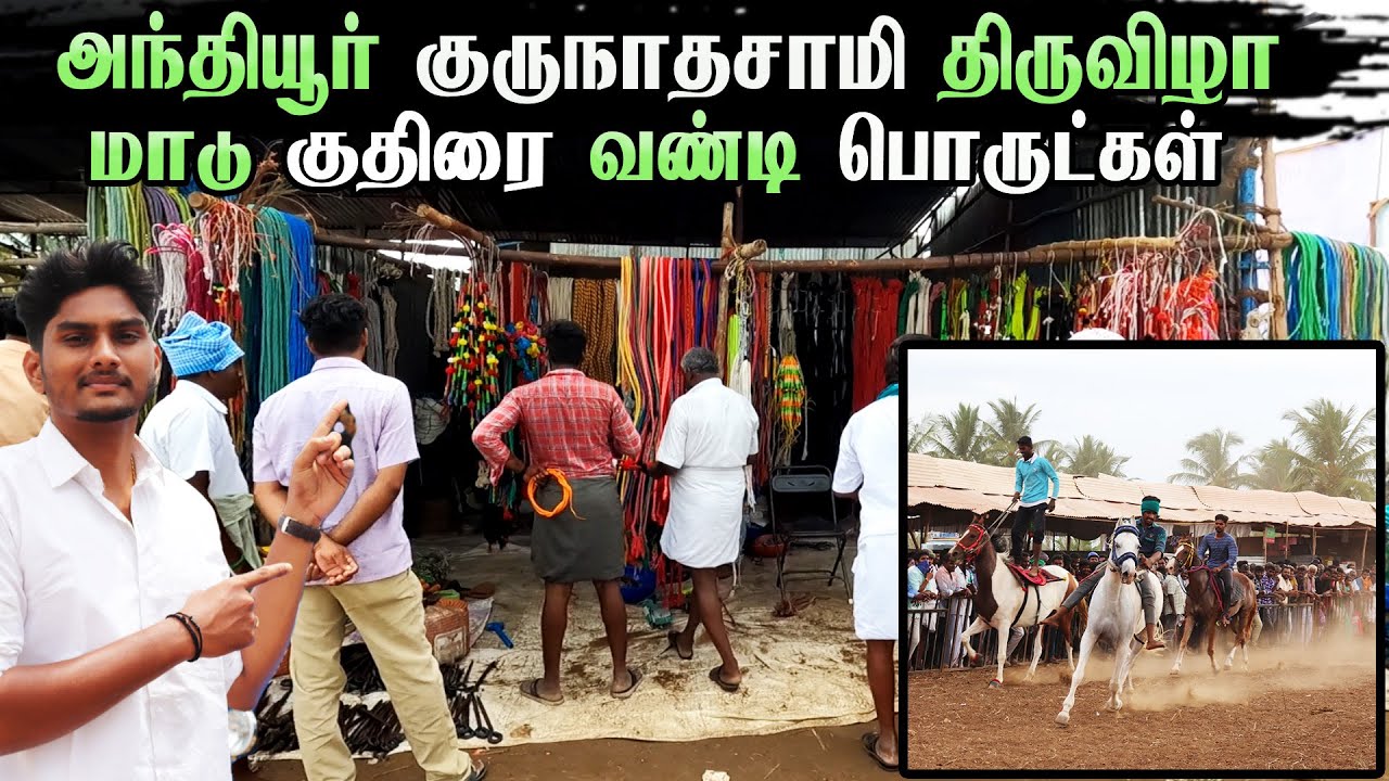 குருநாதசாமி கோவில் திருவிழா  | gurunatha swamy kovil anthiyur | horse market | #anthiyur