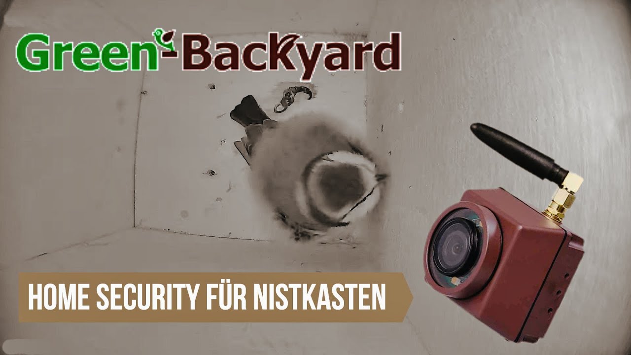 HOME Security für den Nistkasten - birdhouse camera - @Green-Backyard