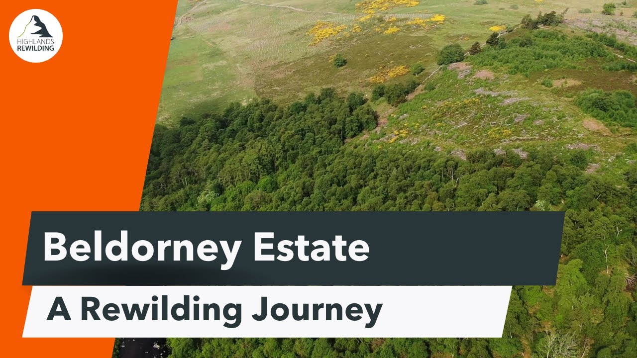 Beldorney Rewilding Journey
