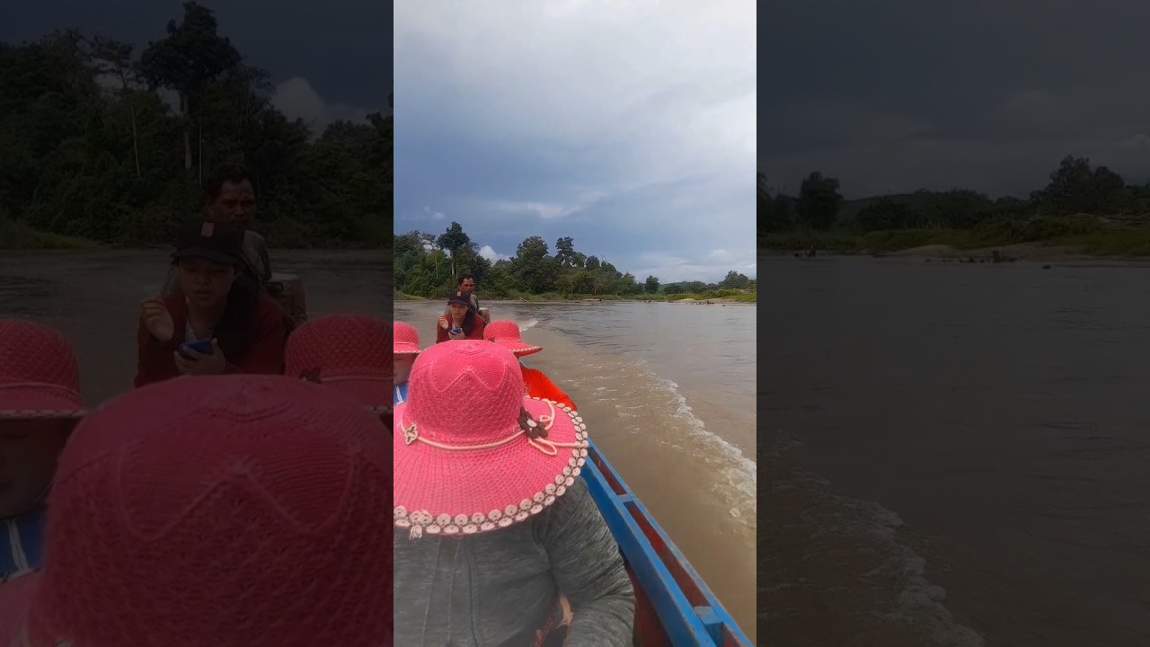AMAZING 🔴 Dua Perahu Dua Sungai❗Geriang & Melawi 😱😱