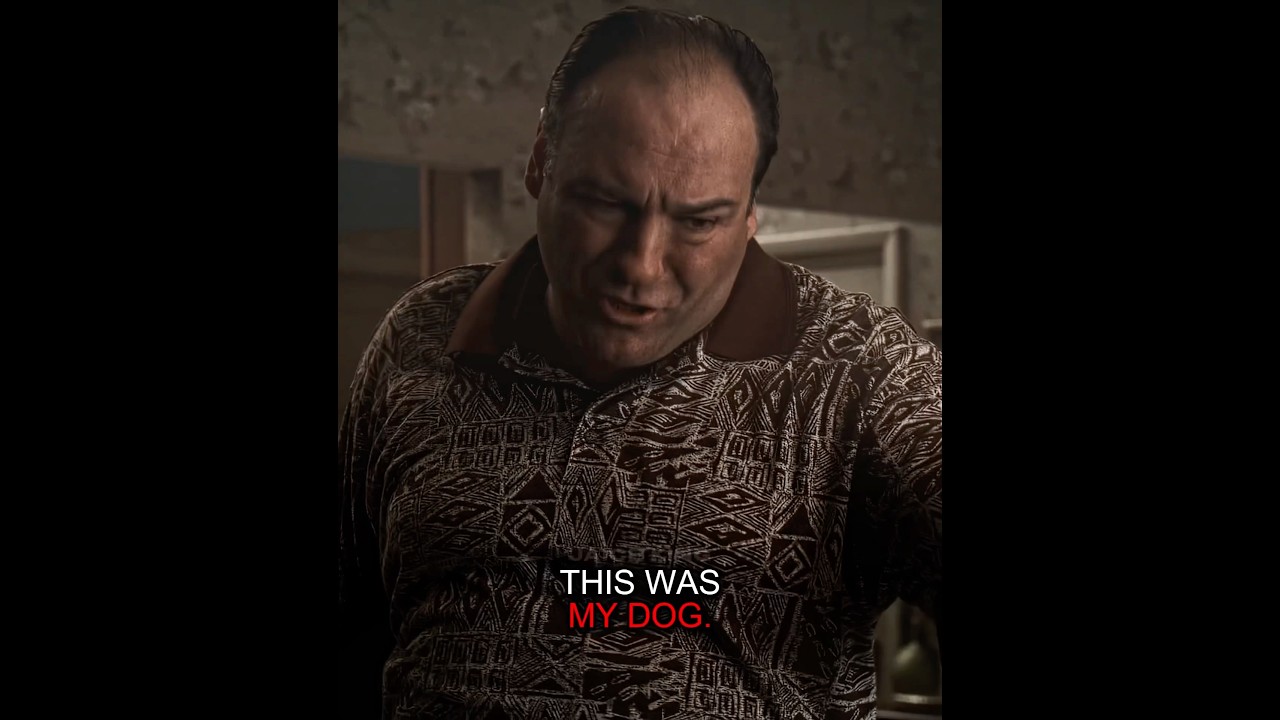 Tony Found His Dog 😭 | The Sopranos S5.E7 | 
