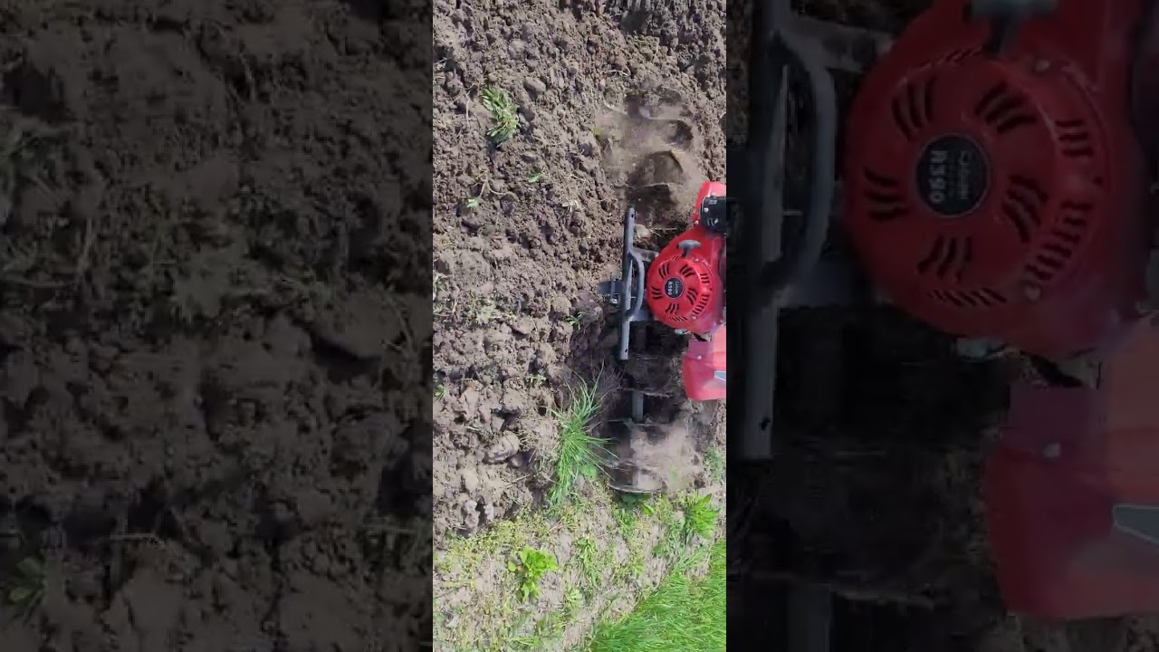 Cedrus gl06 jak najbardziej polecam 135 cm roboczej.