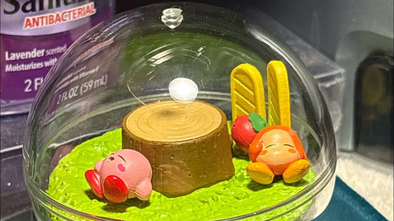 Kirby Terrarium Unboxing #kirby #terrarium #unboxing 