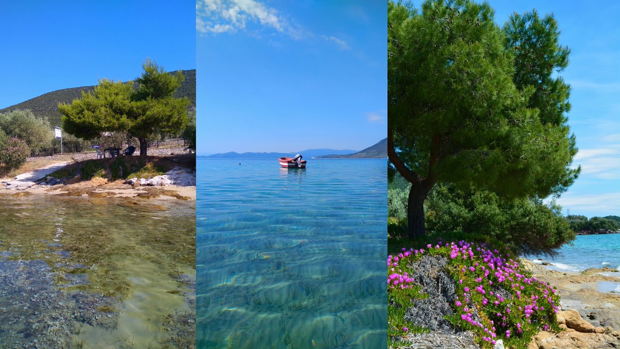 AMBOTIS Cafe bar, Ενοικιαζόμενα δωμάτια, Αγ. Δημήτριος Αχιλλείου, Μαγνησία