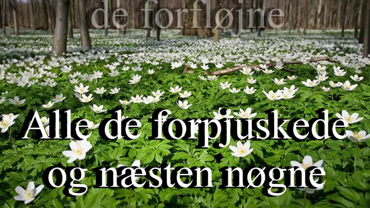 Anemonesangen