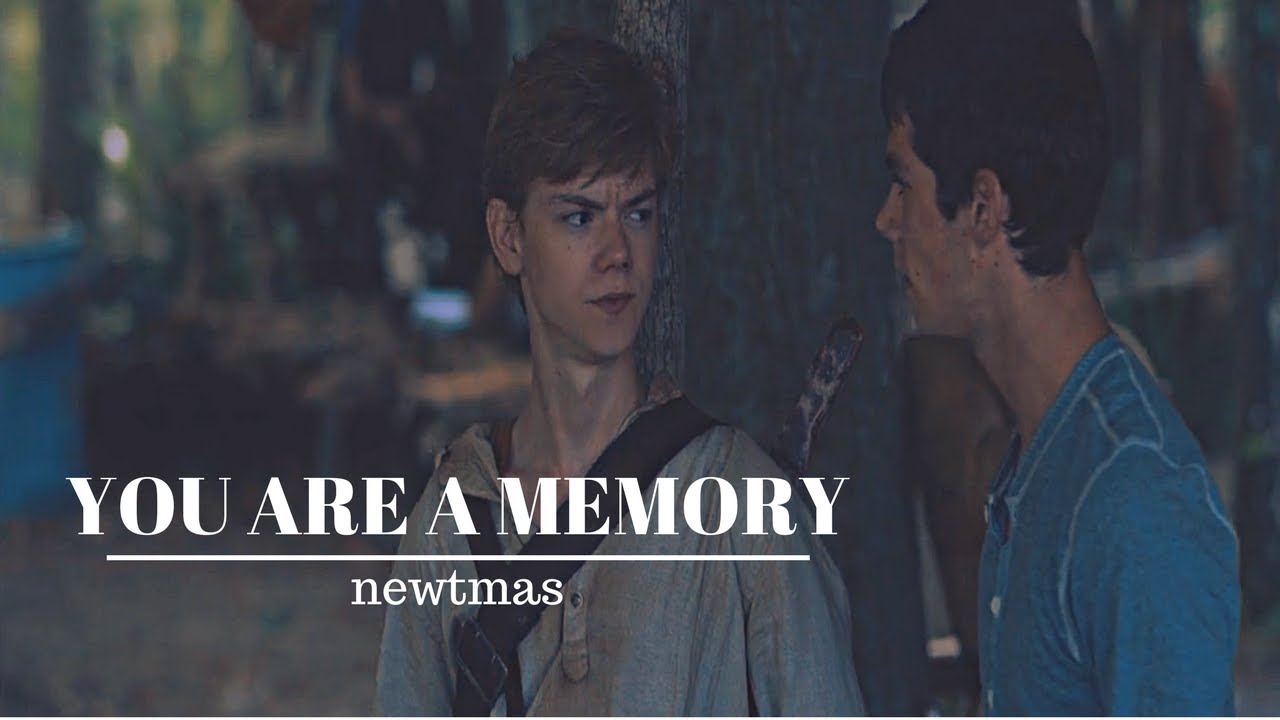 Newt & Thomas | Newtmas | You Are A Memory
