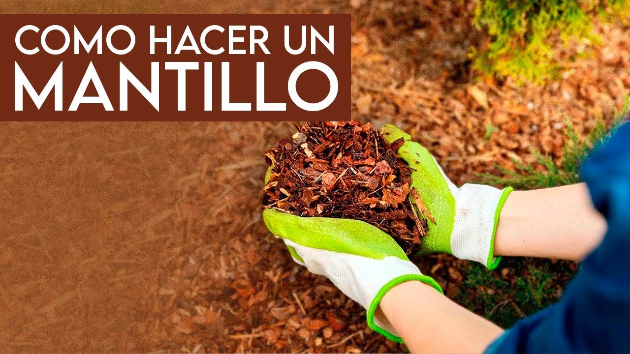 ¿Cómo hacer MANTILLO CASERO con 