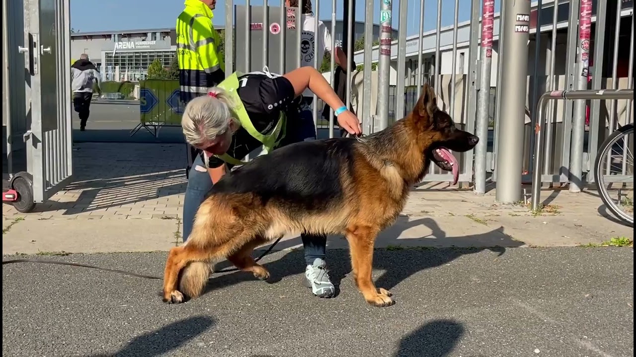 sg 1 Mio vom Team H&uuml;hnegrab