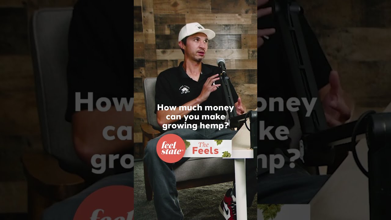 How much money can you make growing hemp? Clip from The Feels S3E6 with James Forbes