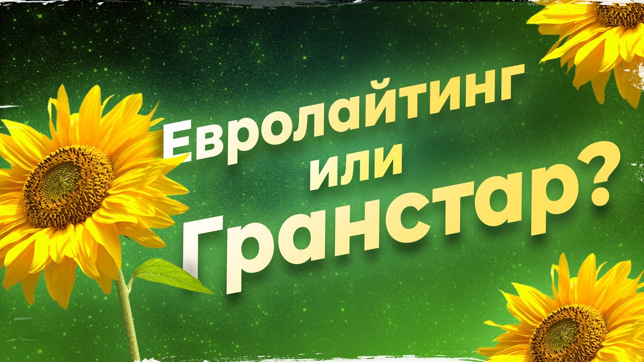 Евролайтинг или гранстар? #ПОДСОЛНУХ