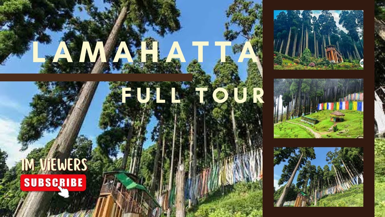 Lamahatta Eco Park Darjeeling Full Tour | Trek to Park | 1km