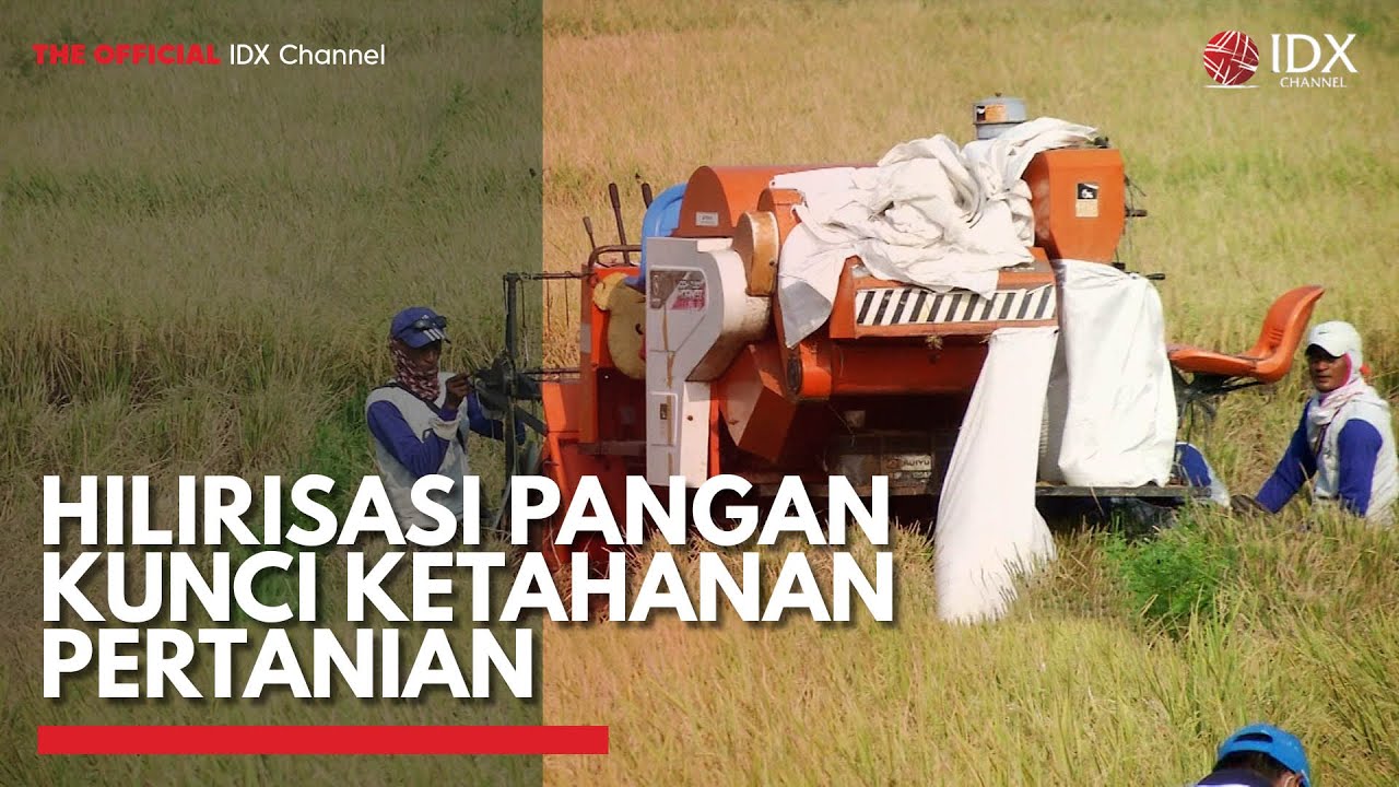 Hilirisasi Pangan Kunci Ketahanan Pertanian | IDX CHANNEL