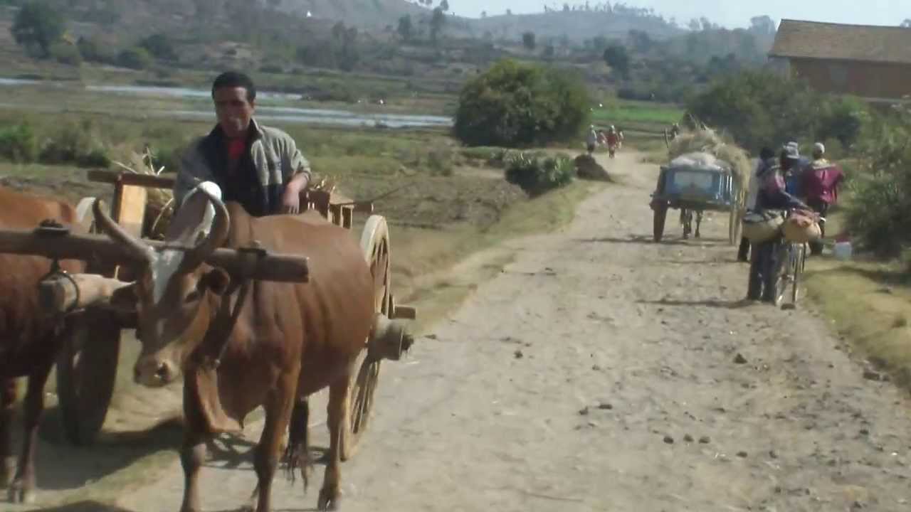 6 - Ruta Rural a Miandrivazo (Madagascar)