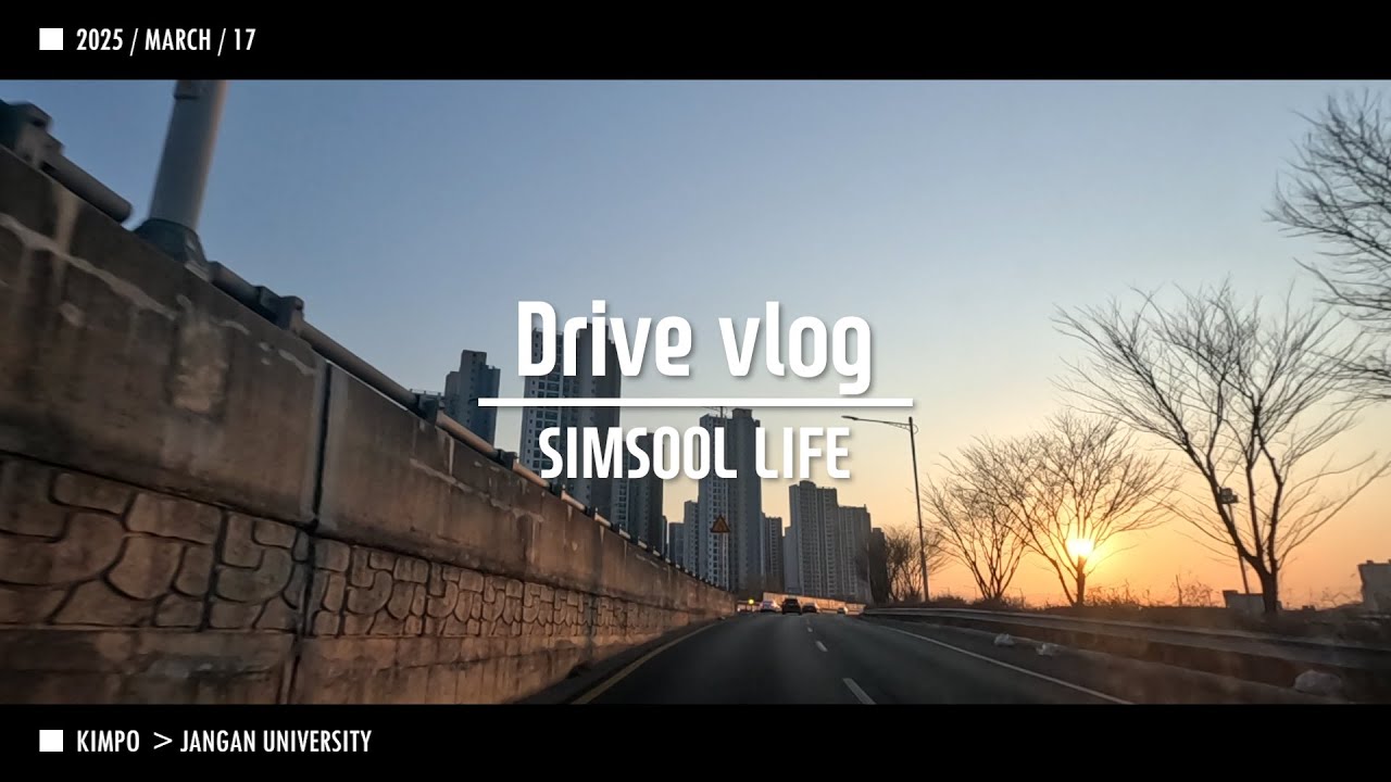 2025 0317 Видеоблог водителя, едущего на работу SIMSOOL Университет Джангане, 2-я неделя, День мо...