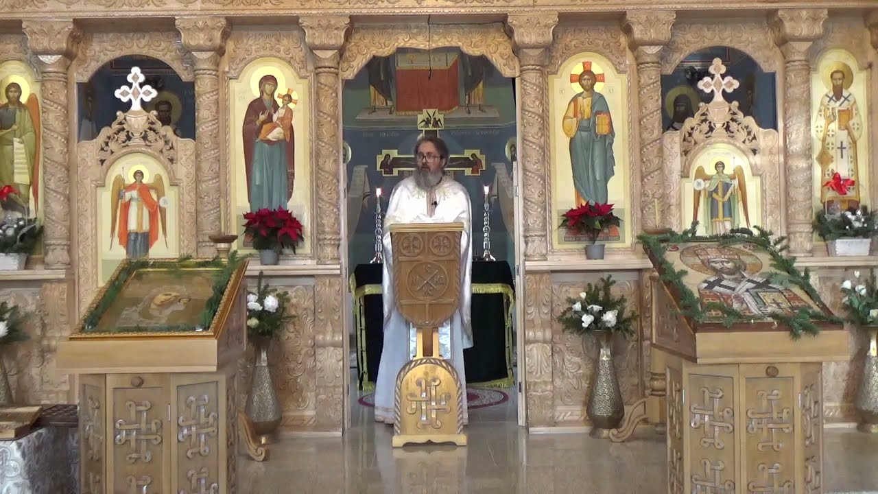 Pr. Dan Popovici – Despre vise – partea întâi