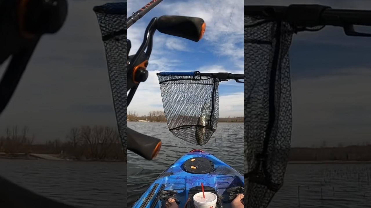 First fish of the day! 