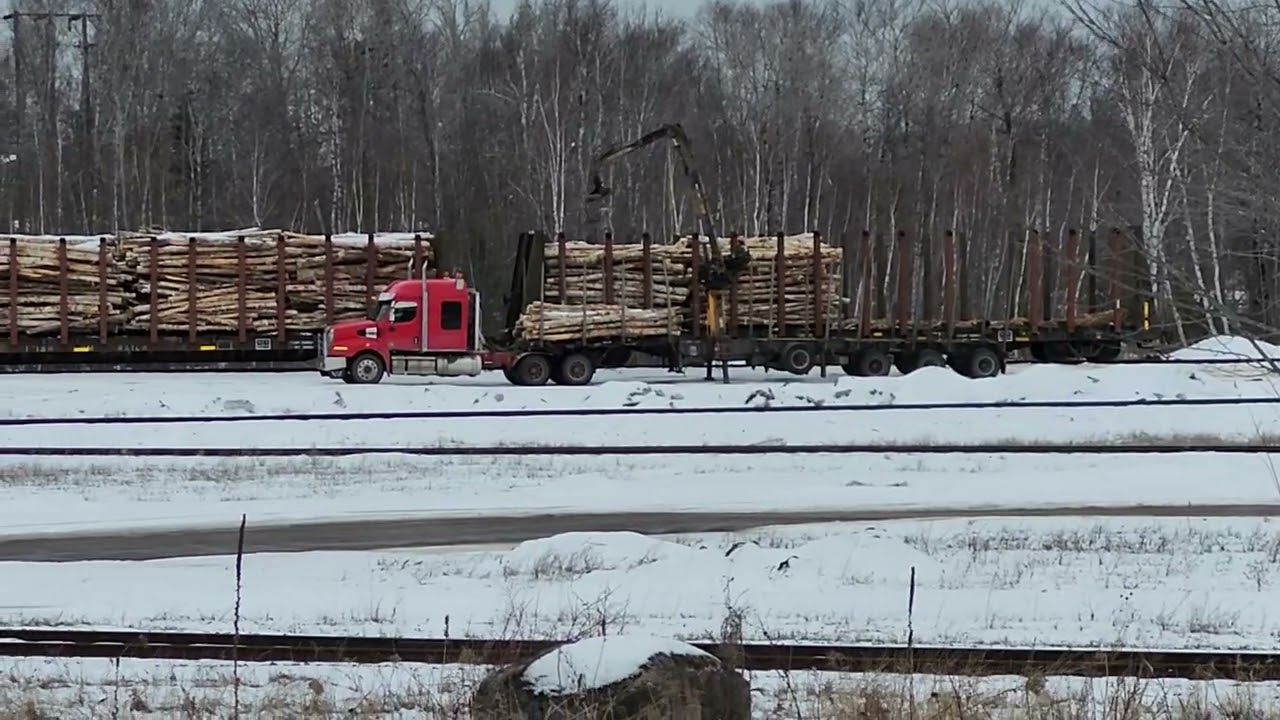 2 logging trucks unload railroad cars