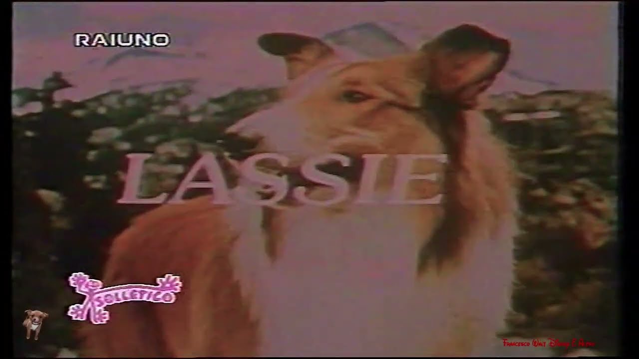 Lassie Sigla Iniziale (Programma Sollettico)