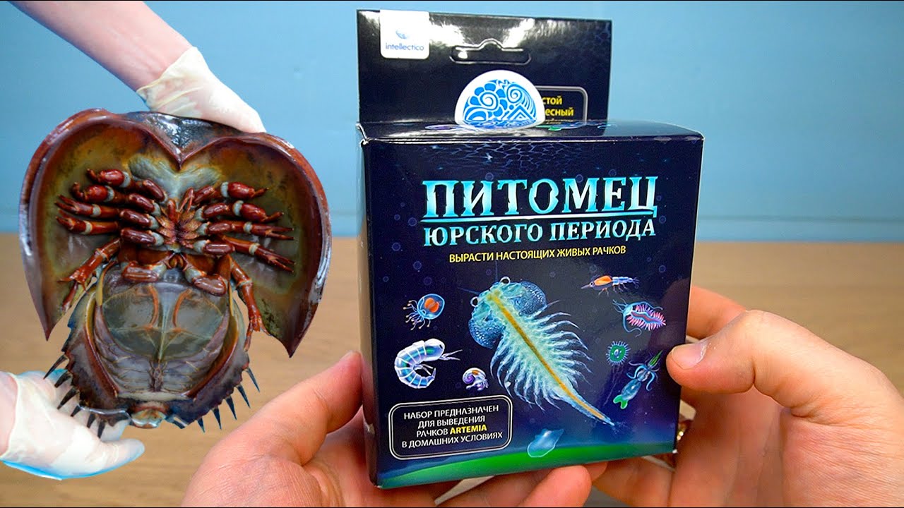 Питомец Юрского Периода артемии из Фикспрайс