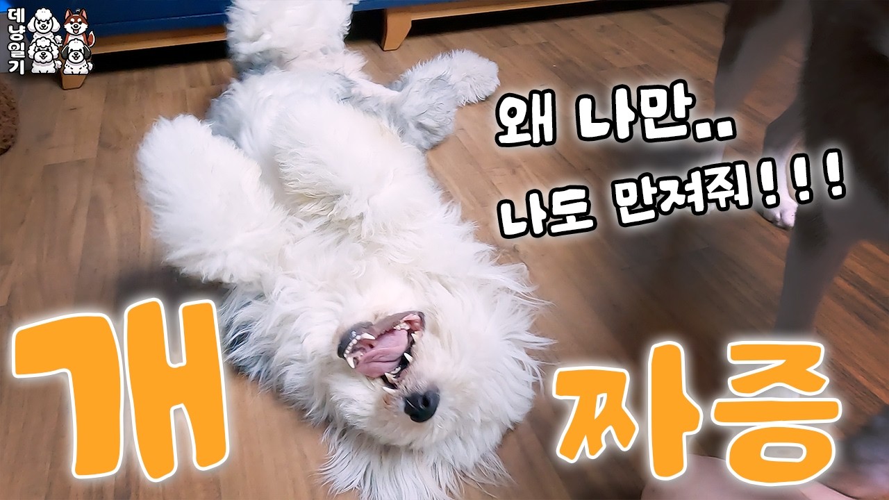 오늘따라 왜케 짜증이 많아?!!