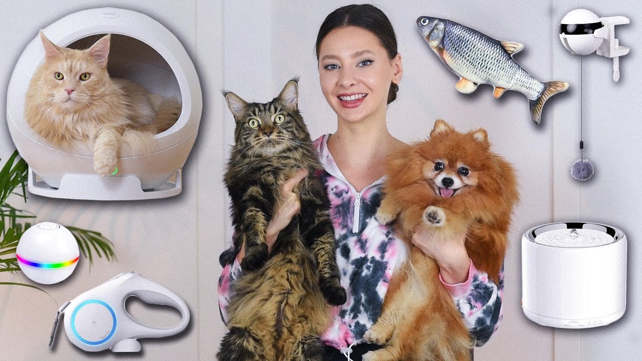 Podgrzewane legowisko i ryba jak żywa  😱 TEST GADŻETÓW DLA PSÓW I KOTÓW 🐾