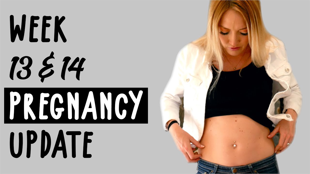 Week 13 and Week 14 of Pregnancy | My Pregnancy Vlog & What to Expect