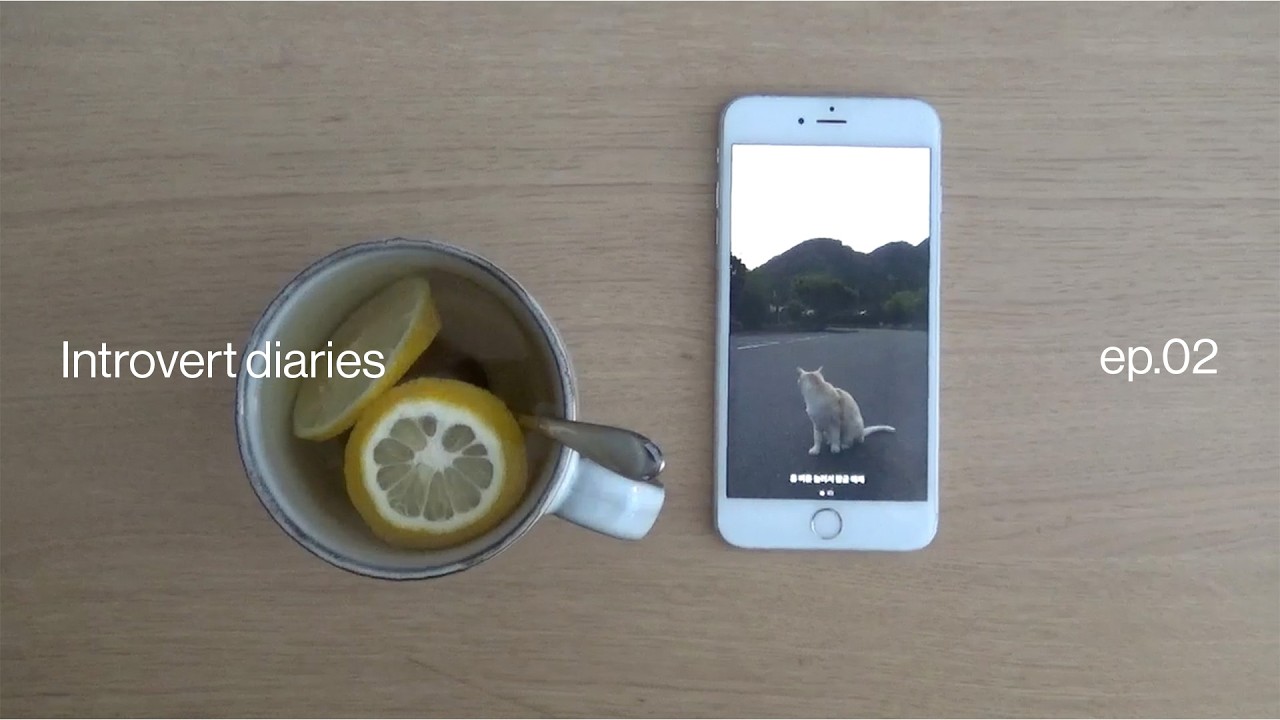 introvert diaries ✦ ep.02: last week being 20