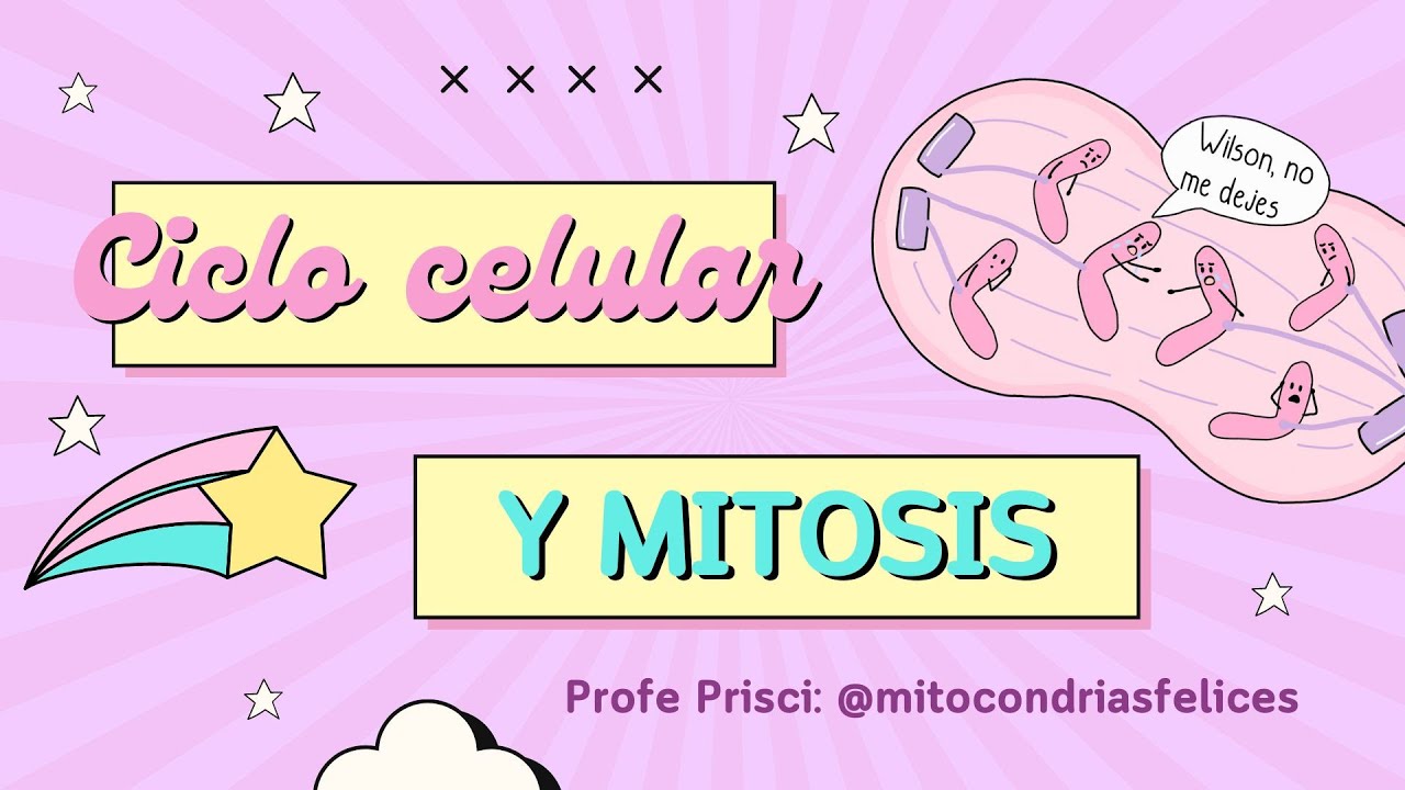 Clase ciclo celular y mitosis