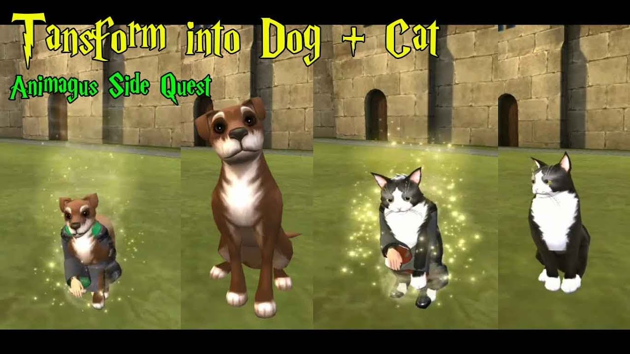 Becoming Dog & Cat Animagus Side Quest Harry Potter Hogwarts Mystery