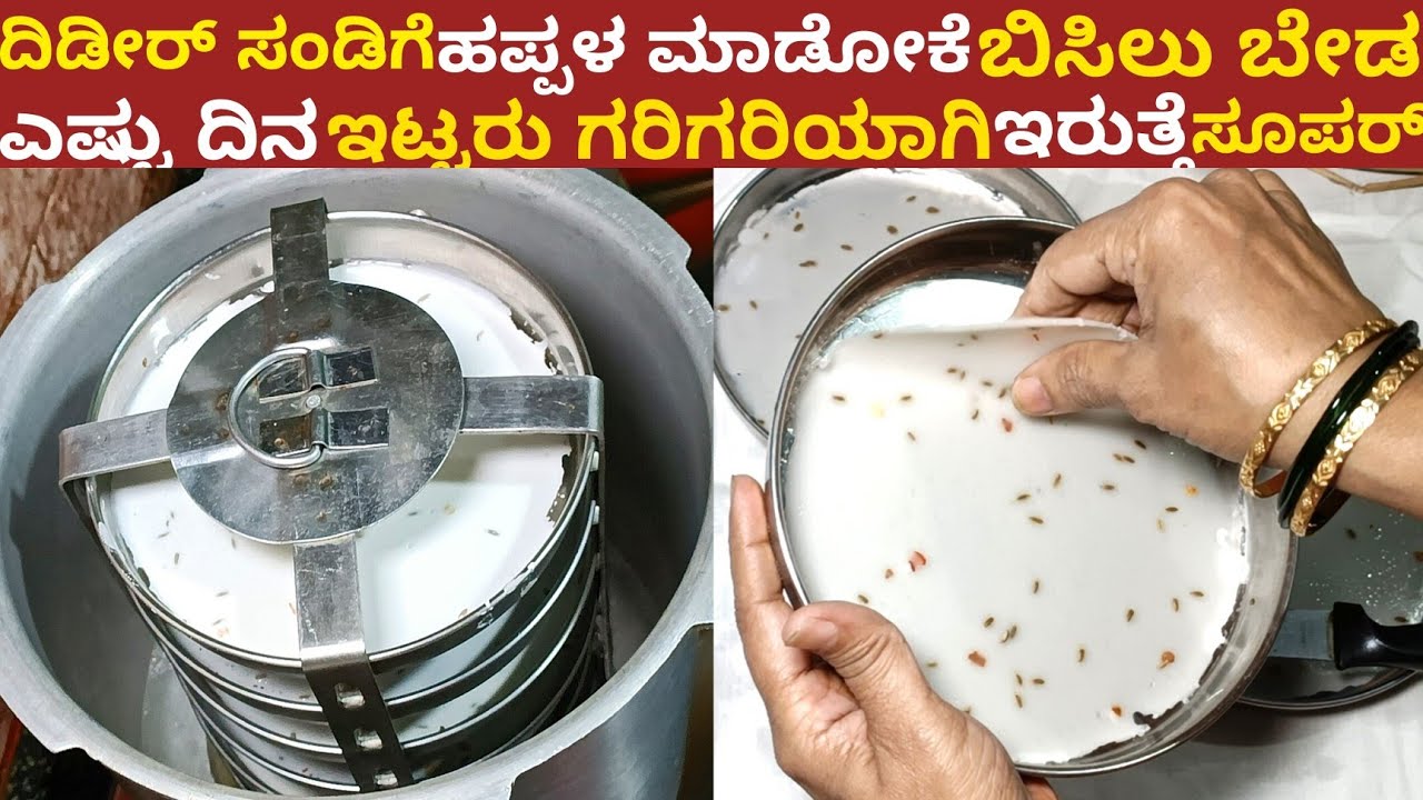 ಅಕ್ಕಿ ಸಂಡಿಗೆ ಹಪ್ಪಳ ಮಾಡೋಕೆ ಬಿಸಿಲು ಬೇಡ ಹೂವಿನಂತೆ ಅರಳುತ್ತೆ ಗರಿಗರಿಯಾಗಿ ಇರುತ್ತೆ | Papad Without Sunlight