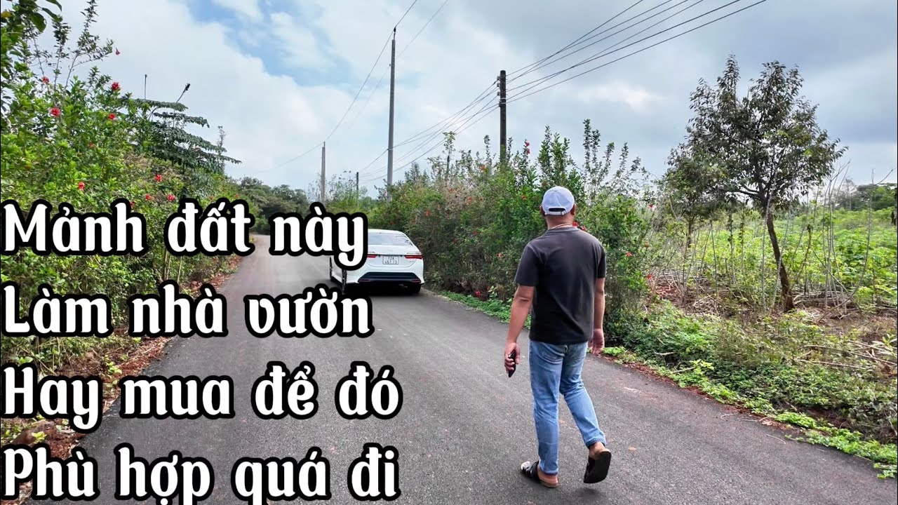 ANH HOÀNG CẦN BÁN MẢNH VƯỜN TẠI BÀ RỊA VŨNG TÀU VUÔNG VỨT NHÌN MÀ THÍCH QUÁ ĐI