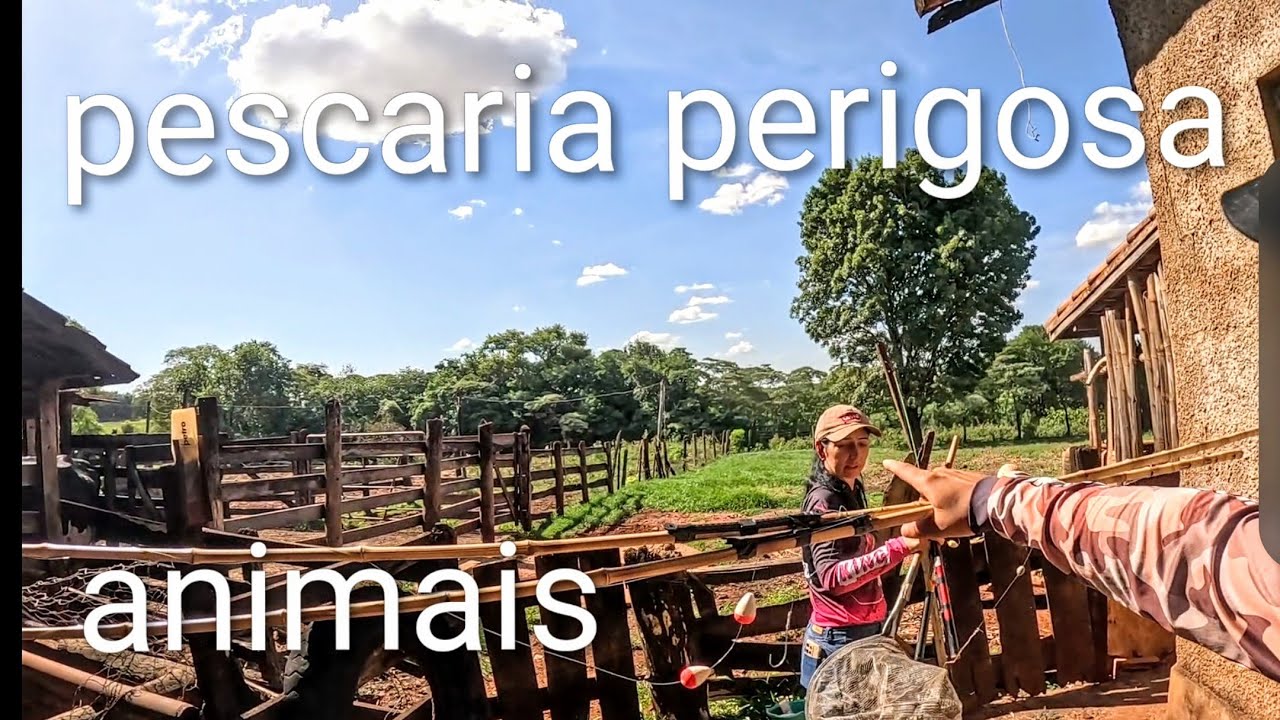 Atravessamos o sítio e entramos no meio do brejo atrás de peixe na isca viva | pescaria em casal 