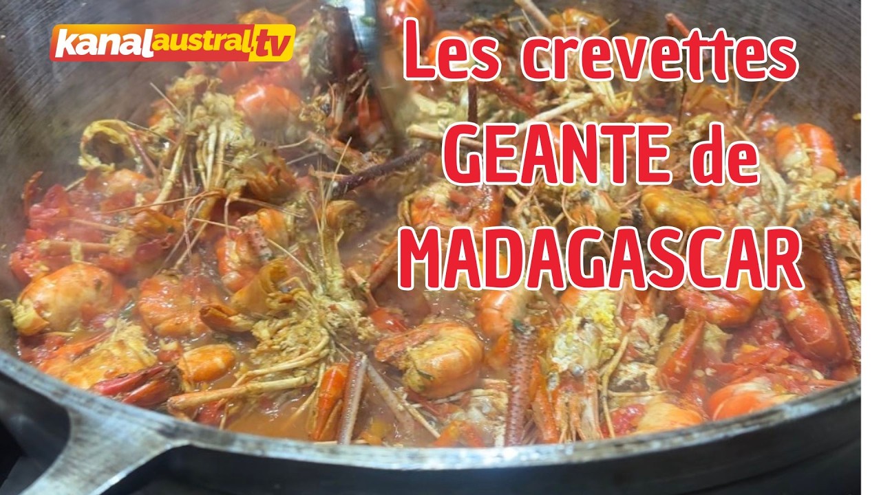 CUISINE - Crevettes geante de MADAGASCAR