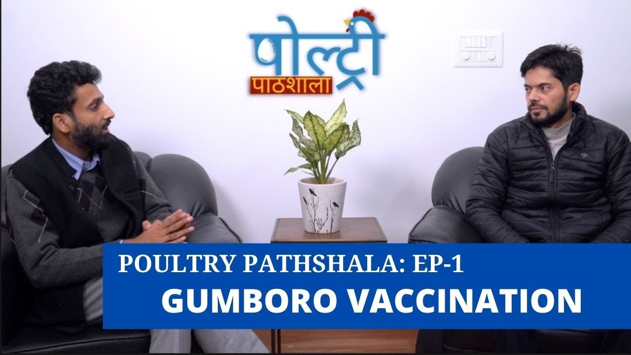 Poultry Pathshala by IMN Pyrophos - Episode 1 (Gumboro Viral Disease & its Vaccination)