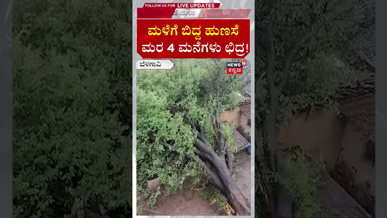 #shorts Belagavi Heavy Rain Loss | ಮಹಾಮಳೆಗೆ ಮನೆಗಳು ಉಡೀಸ್ | N18S