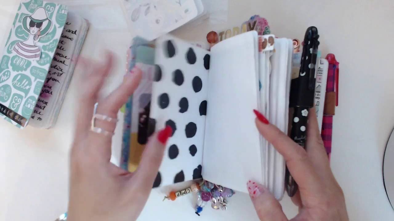 Pocket Chic Sparrow TN Setup ! AUG 19
