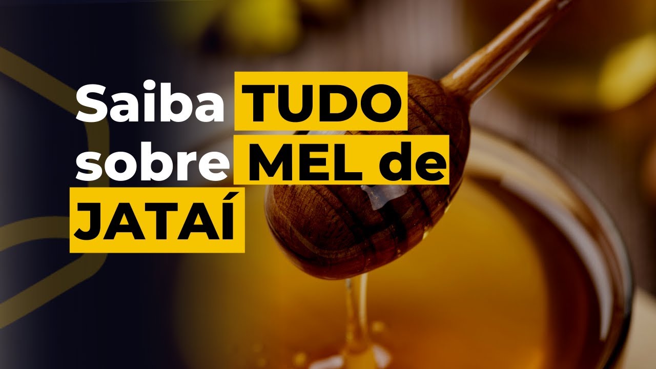 Descubra TODOS os segredos sobre o MEL da abelha jataí | Cia da Abelha
