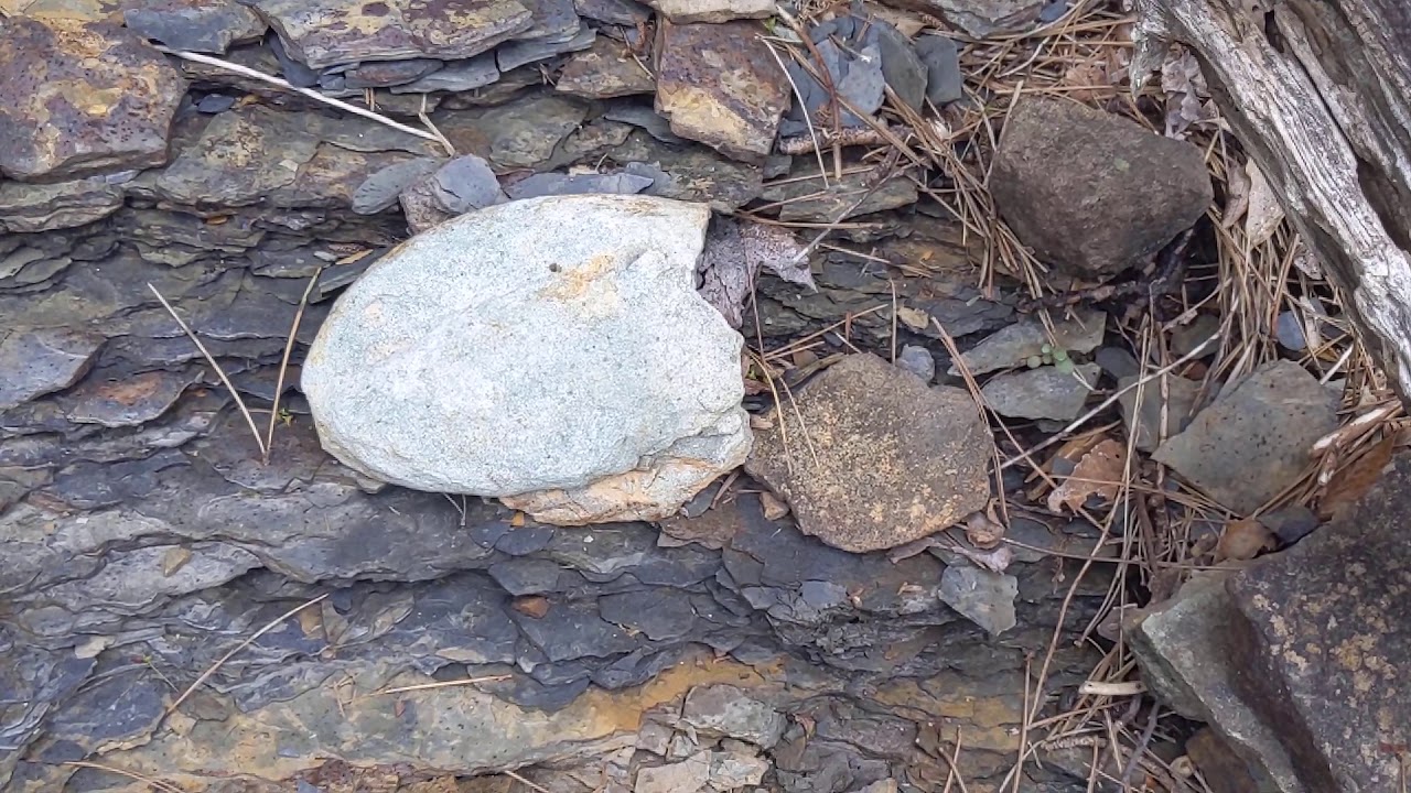 Jasper, AR roadcut (south of town)