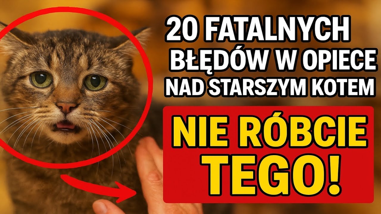 **20 Fatalnych Błędów w Opiece nad Starszym Kotem. NIE RÓBCIE TEGO!**
