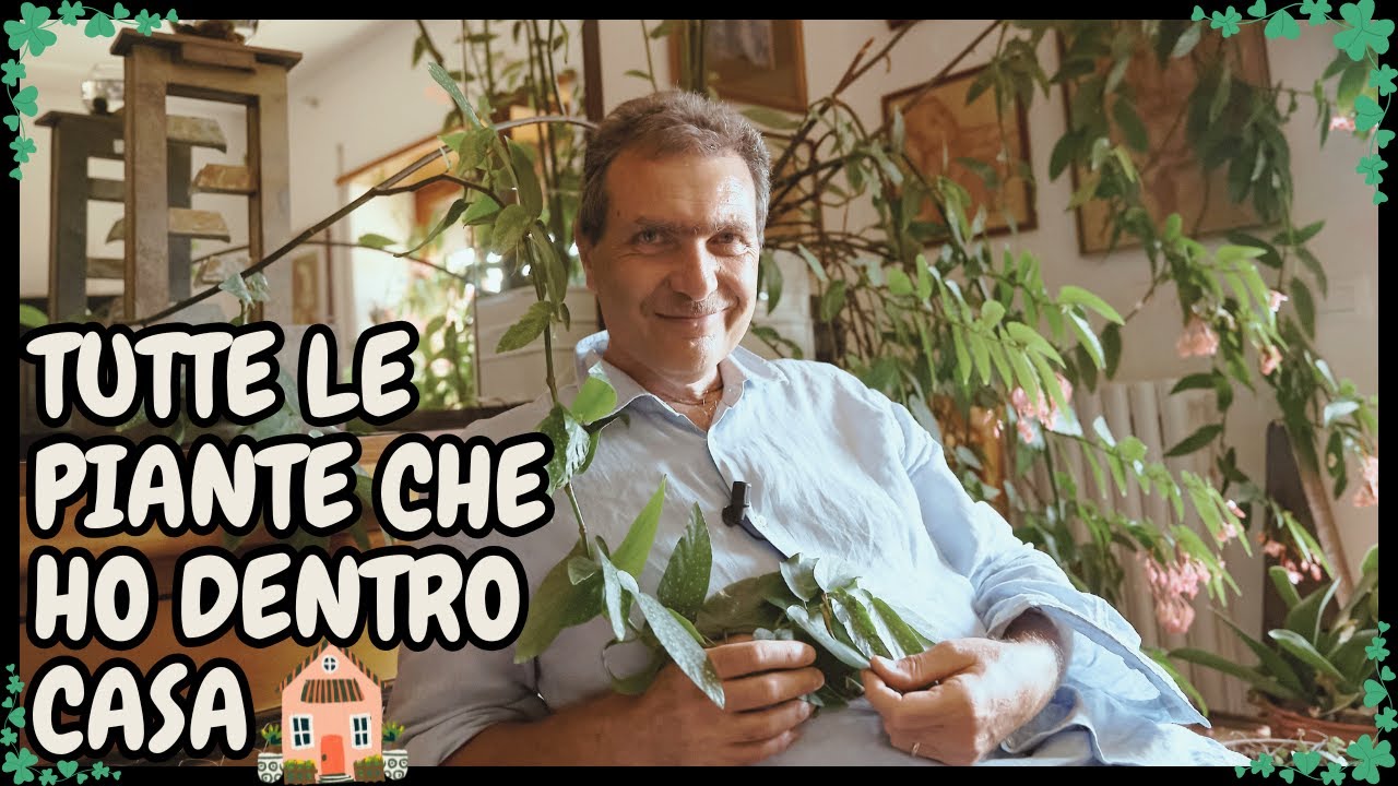 🌱 PLANT TOUR: ti faccio vedere TUTTE le PIANTE del mio APPARTAMENTO (+ qualche consiglio) 🌱